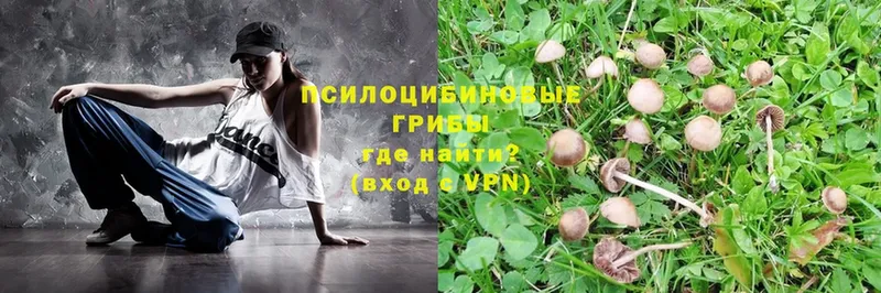 Псилоцибиновые грибы MAGIC MUSHROOMS  Куртамыш 